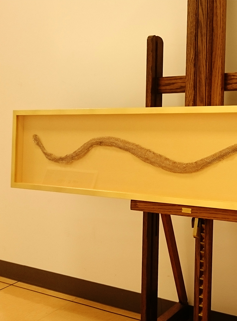 蛇の抜け殻 – 大阪の額縁、額装ならカワチ画材へ | 額縁専門サイト